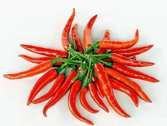 Pâte de piment en fût de 220L